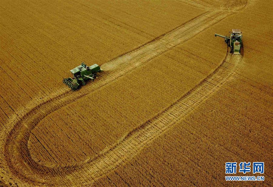 大地赠金_图片频道_新华网