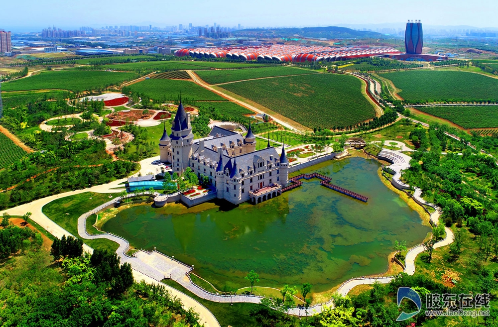 百年张裕领跑数字化赛道 再造全球葡萄酒升级新范本