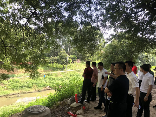 检查内坑镇加塘村古树林段河道整治示范情况